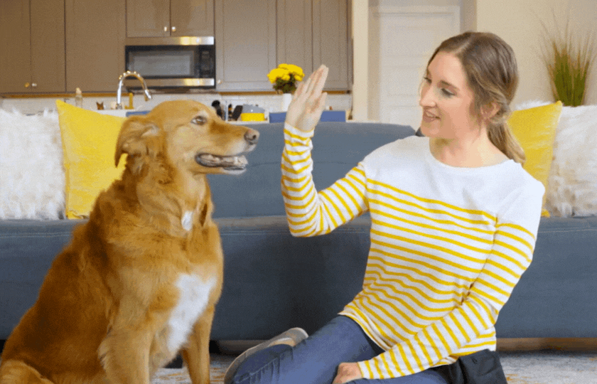 NEW LP [TAS] · Goodboy Gravies